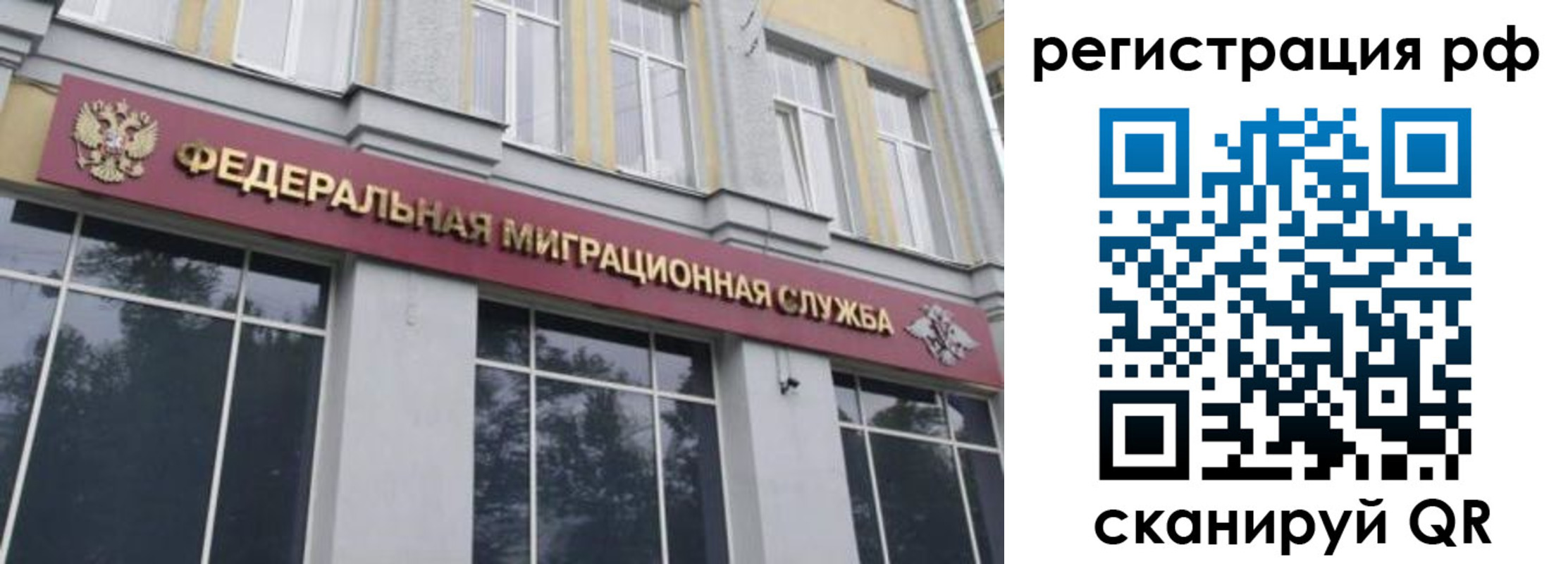 временная регистрация 2025 в Волосово