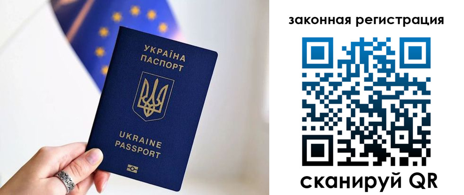 временная регистрация в Волосово